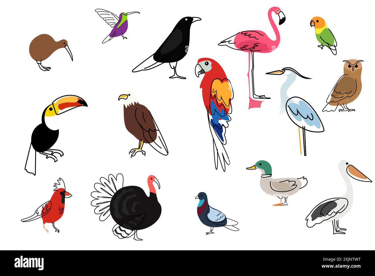 Un'illustrazione vettoriale di icone di uccelli diverse Illustrazione Vettoriale
