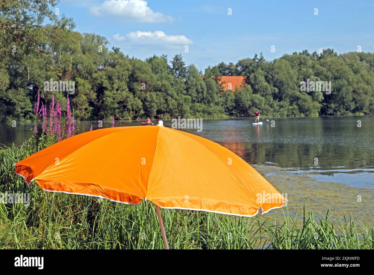 Sonnenschutz in der Landschaft am Natursee in Buldern ist ein Sonnenschirm zu sehen, der dort eher unerwünscht ist. Buldern Nordrhein-Westfalen Deutschland *** protezione solare nel paesaggio Un ombrellone può essere visto nel lago naturale di Buldern, dove è piuttosto indesiderabile Buldern Renania settentrionale-Vestfalia Germania Foto Stock