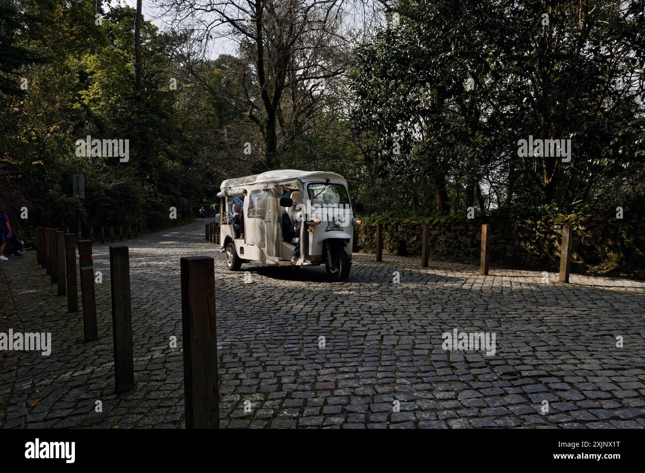 Guida in tuk-tuk bianco lungo i sentieri acciottolati circondati da lussureggiante vegetazione sulle strade panoramiche di Sintra Foto Stock