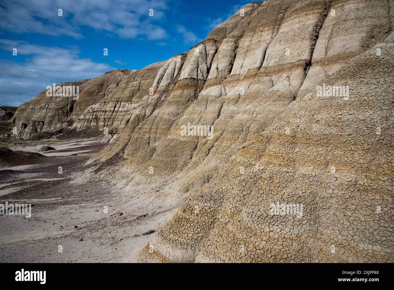 Il Dinosaur Provincial Park in Alberta, Canada, protegge molti fossili di dinosauri in un paesaggio secco e intensamente eroso, le Canadian Badlands. Foto Stock