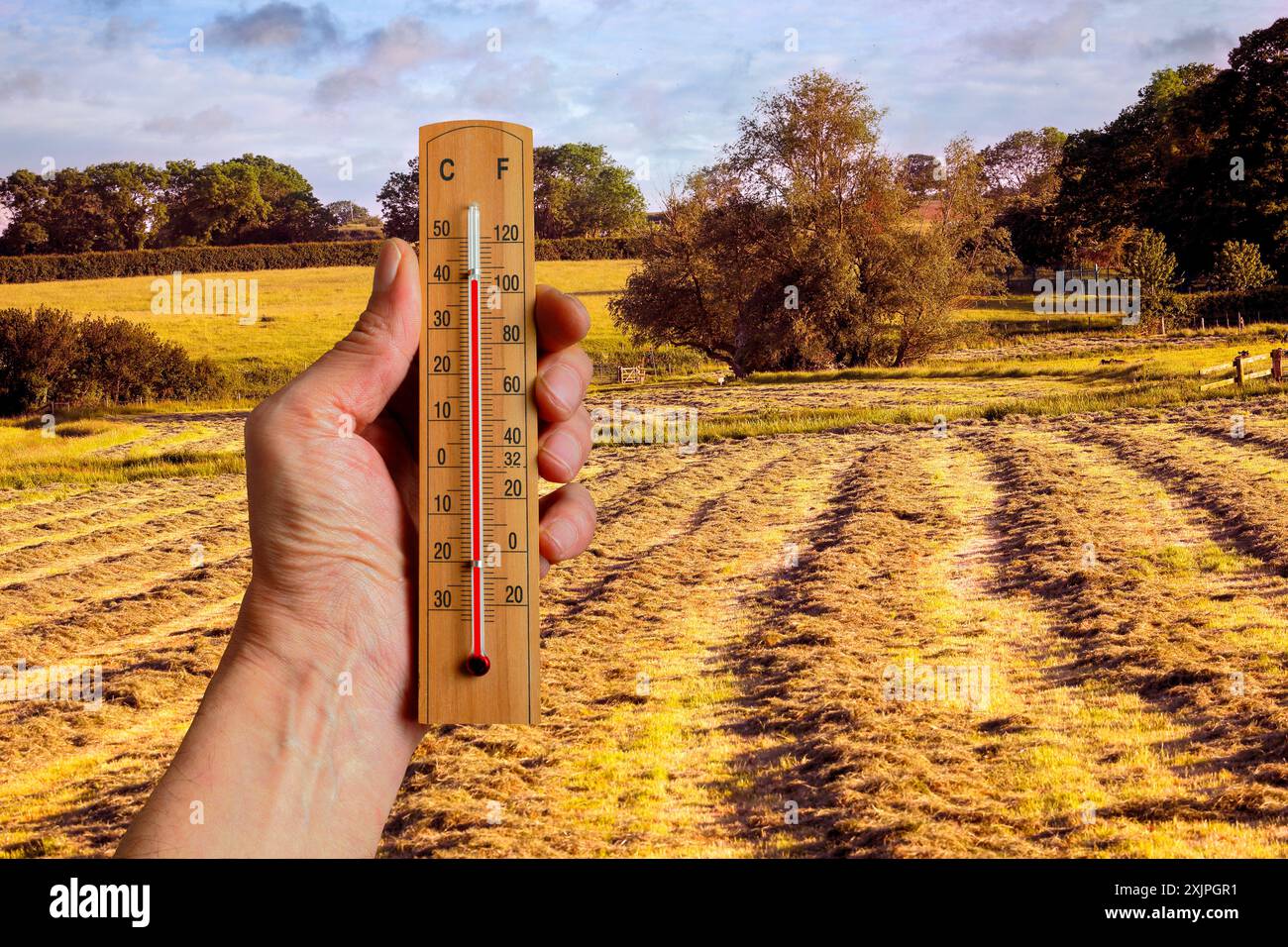 Immagine concettuale di una persona che tiene in mano un termometro per rappresentare il cambiamento climatico. Foto Stock