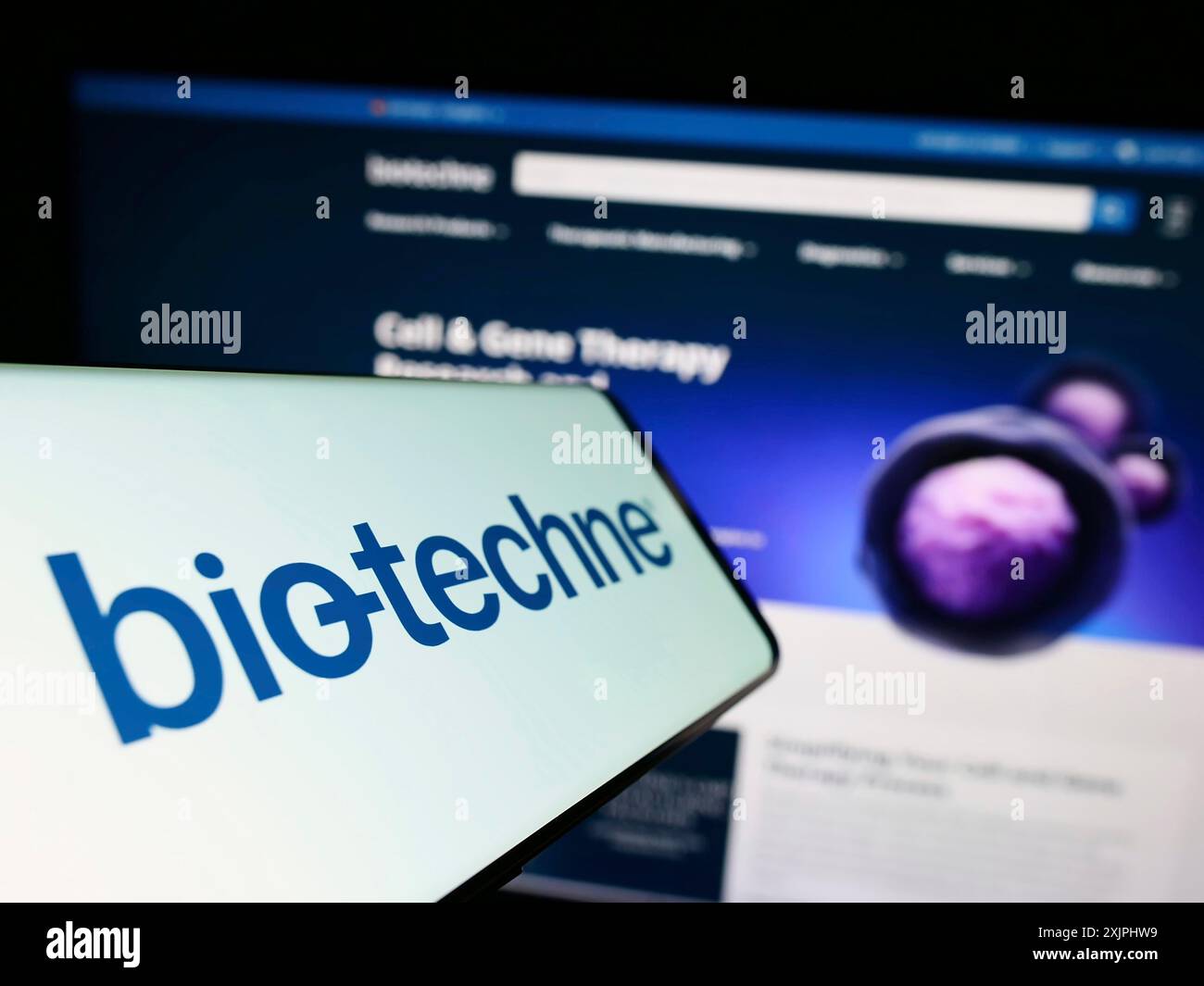 Stoccarda, Germania, 06-24-2023: Smartphone con logo della società americana di scienze biologiche Bio-Techne Corporation sullo schermo davanti al sito Web. Concentrati su Foto Stock