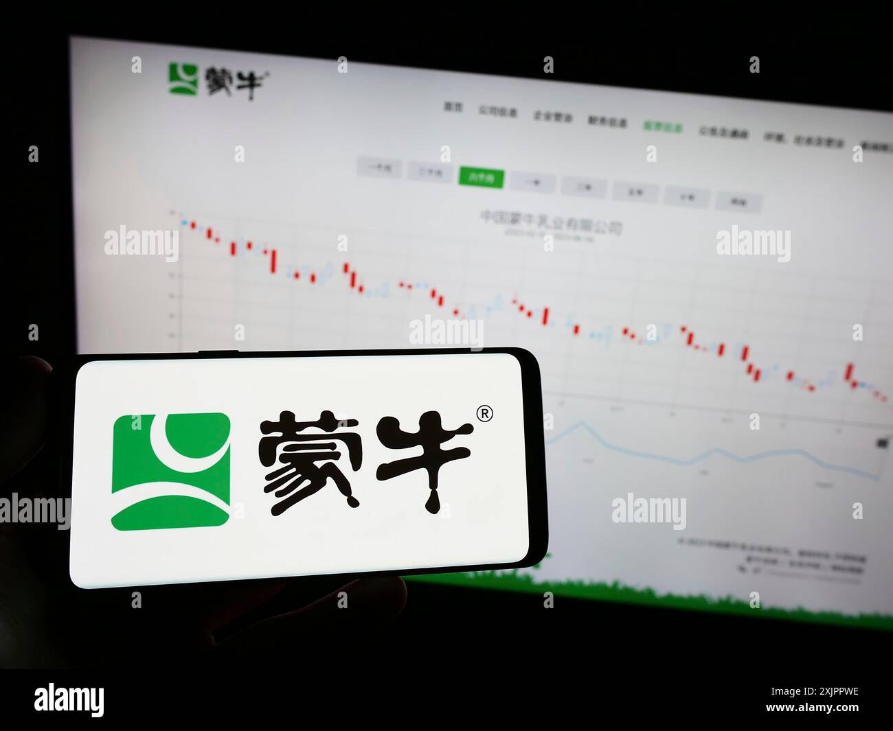 Stoccarda, Germania, 08-16-2023: Persona che tiene un telefono cellulare con il logo di China Mengniu Dairy Company Limited sullo schermo di fronte alla pagina web aziendale. Foto Stock