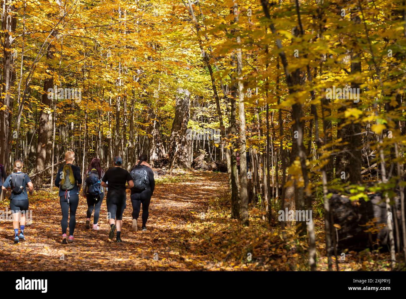 Escursionismo nel Parco Nazionale del Mont-Saint-Bruno (Parc National du Mont-Saint-Bruno), aceri rossi, gialli e arancioni in autunno. Saint-Bruno-de-Mo Foto Stock