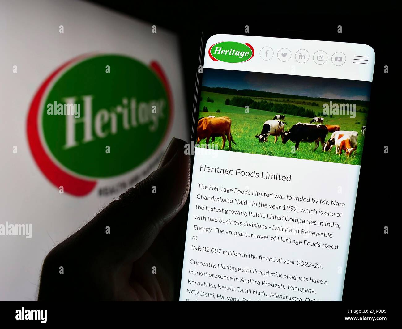 Stoccarda, Germania, 11-08-2023: Persona che tiene il cellulare con pagina web della società casearia indiana Heritage Foods Limited davanti al logo. Concentrati su Foto Stock