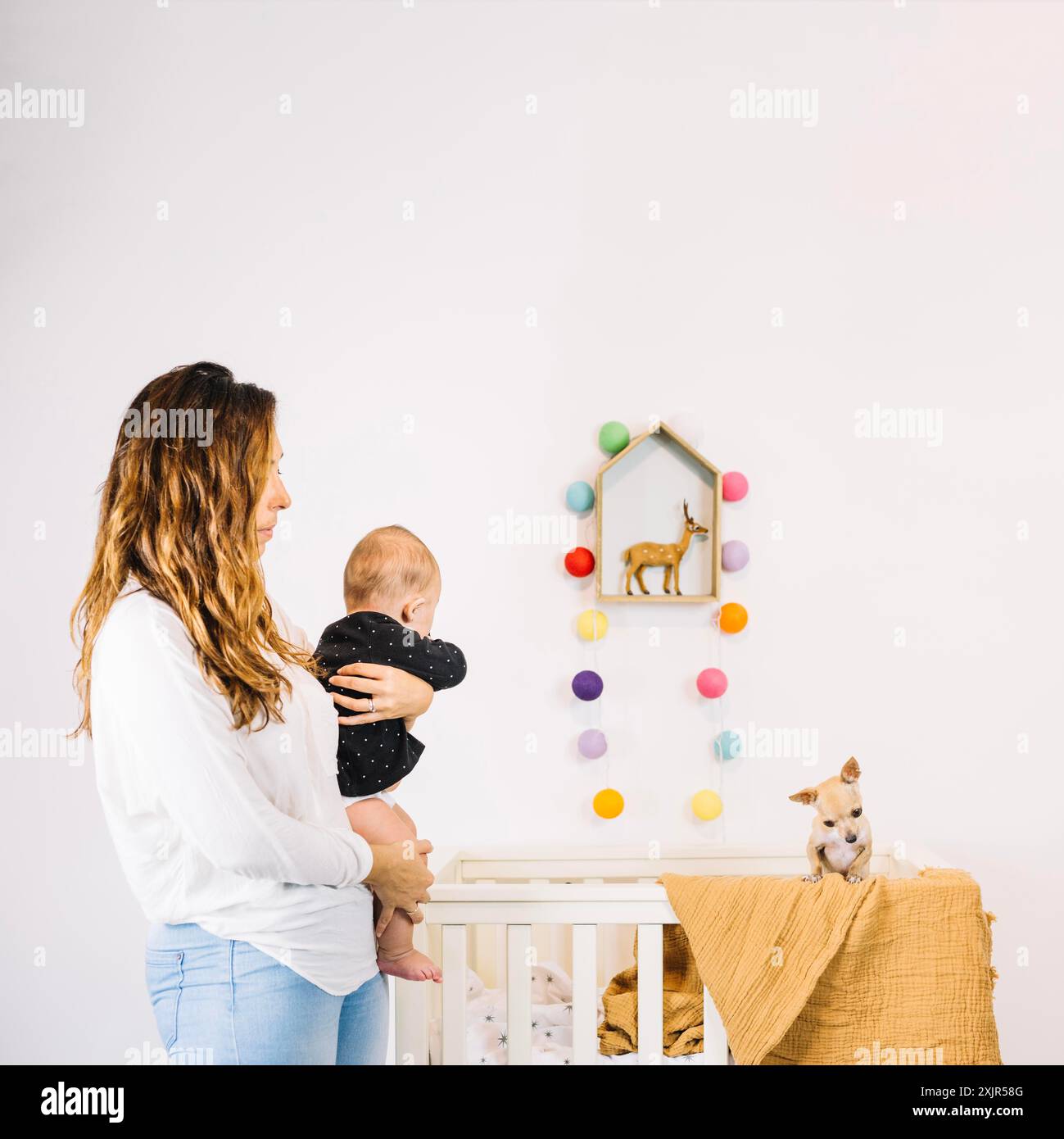 Culla del cane che guarda al bambino Foto Stock