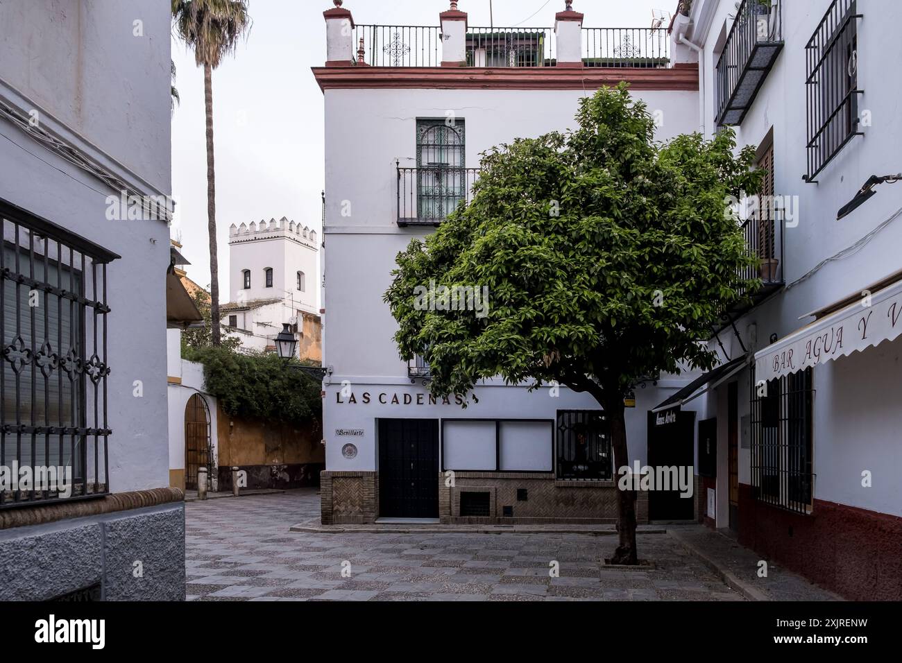 Dettaglio di Santa Cruz, principale quartiere turistico di Siviglia, Spagna, ed ex quartiere ebraico della città medievale situato nel centro storico Foto Stock