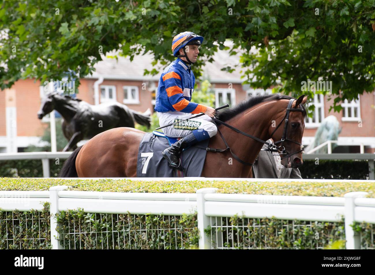 Ascot, Berkshire, Regno Unito. 12 luglio. 2024. Il cavallo Zain Blue guidato dal fantino Connor Beasley si dirige verso l'ippodromo prima di vincere il Long Harbour Derek Lucie-Smith Handicap Stakes all'ippodromo di Ascot nel Berkshire presso l'Ascot Summer Mile Property Raceday. Proprietario, Mr. Asaad al Banwan, allenatore John Butler, Newmarket, allevatore A Stroud e J Hanly. Crediti: Maureen McLean/Alamy Foto Stock