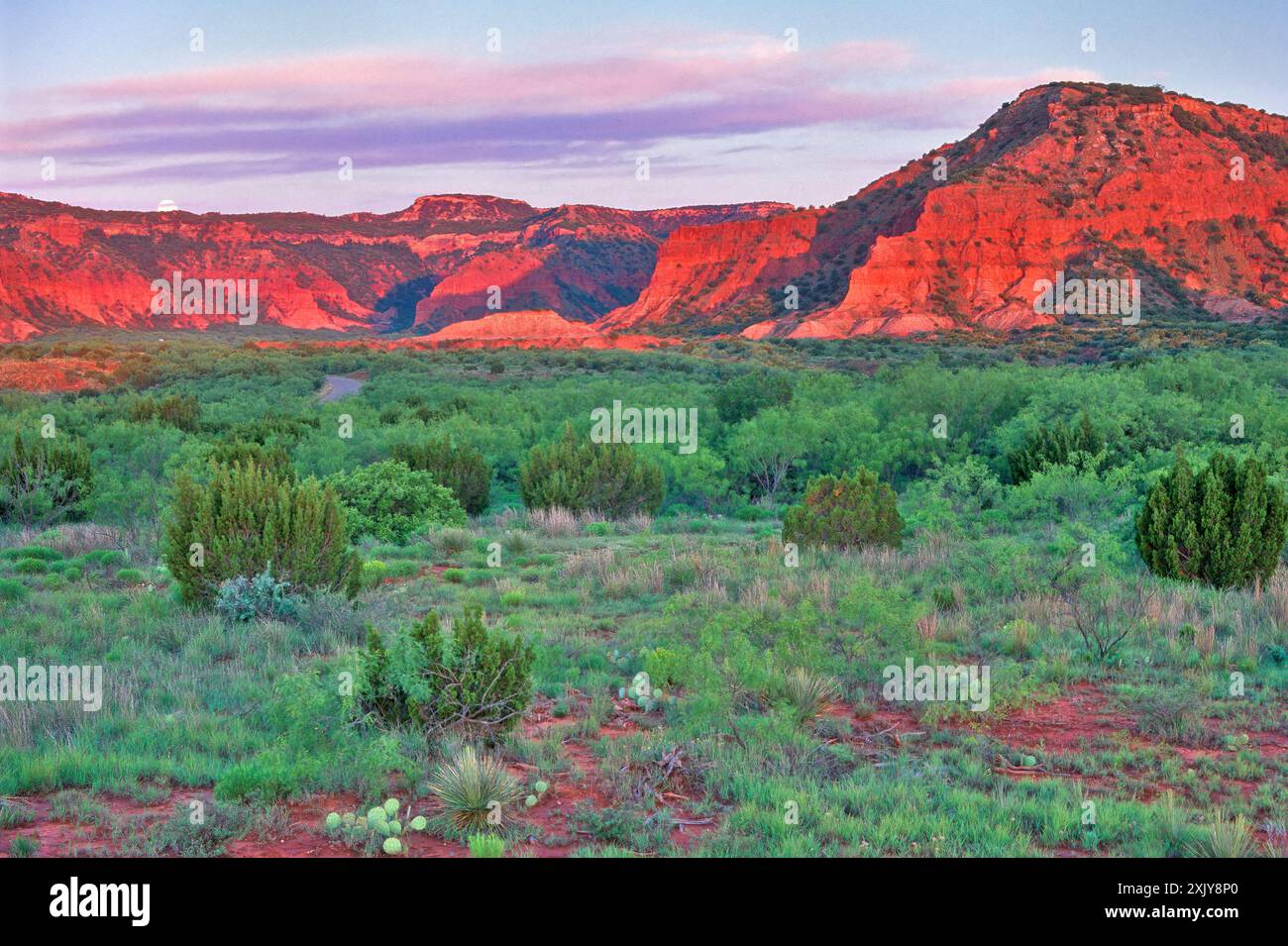 Buttes over South Prong River Canyon, al tramonto, prima dell'alba, Caprock Canyons State Park, Texas, USA Foto Stock