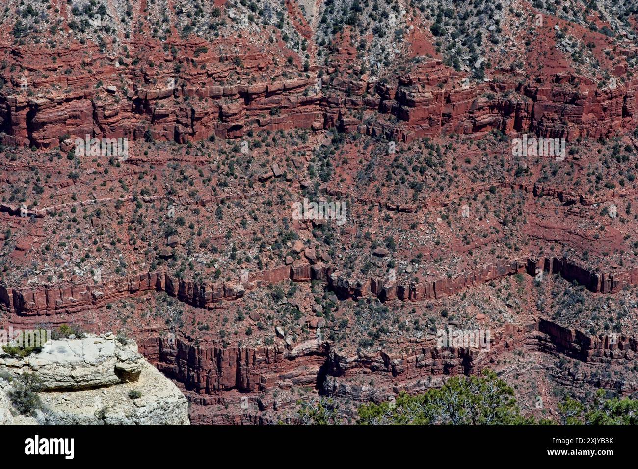 Strati striati di roccia sedimentaria erosiva nel Grand Canyon Foto Stock