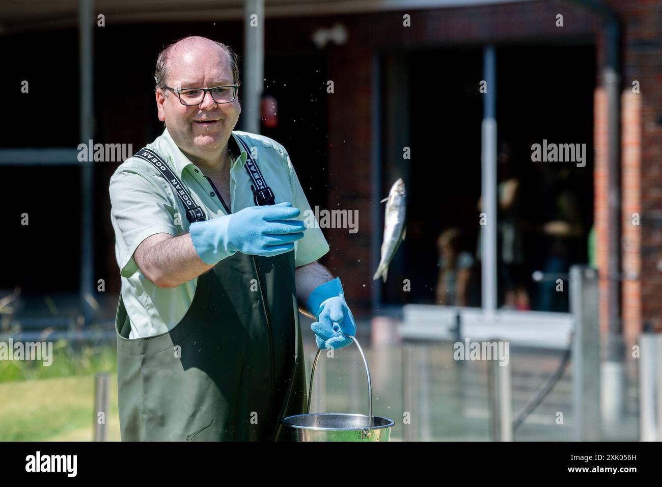 Norddeich, Germania. 20 luglio 2024. Christian Meyer (Alleanza 90/Verdi), ministro dell'ambiente nella bassa Sassonia, nutre le foche nel santuario delle foche Norddeich e lancia un pesce. Il ministro dell'ambiente Meyer visitò il santuario delle foche presso la Norden-Norddeich National Park House. Crediti: Hauke-Christian Dittrich/dpa/Alamy Live News Foto Stock