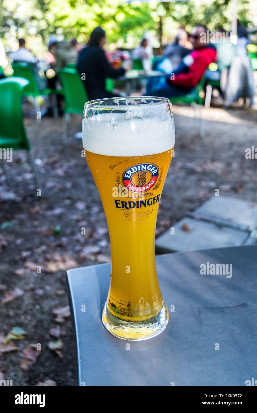 Un bicchiere marchiato di Erdinger Weissbier, Treviri, Renania-Palatinato, Germania Foto Stock