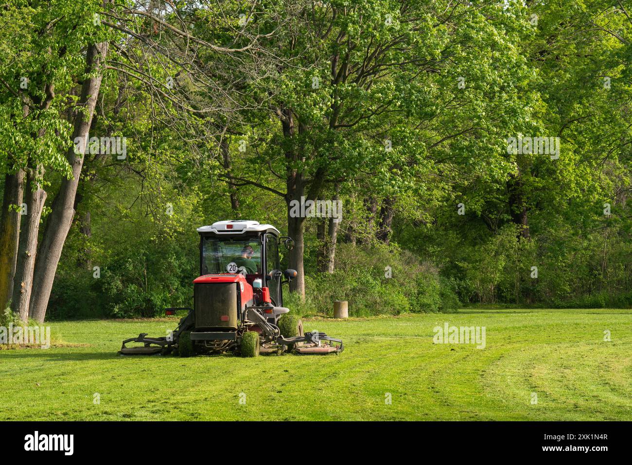 Giardiniere professionista che taglia l'erba verde su una macchina rasaerba in parco. Foto di alta qualità Foto Stock