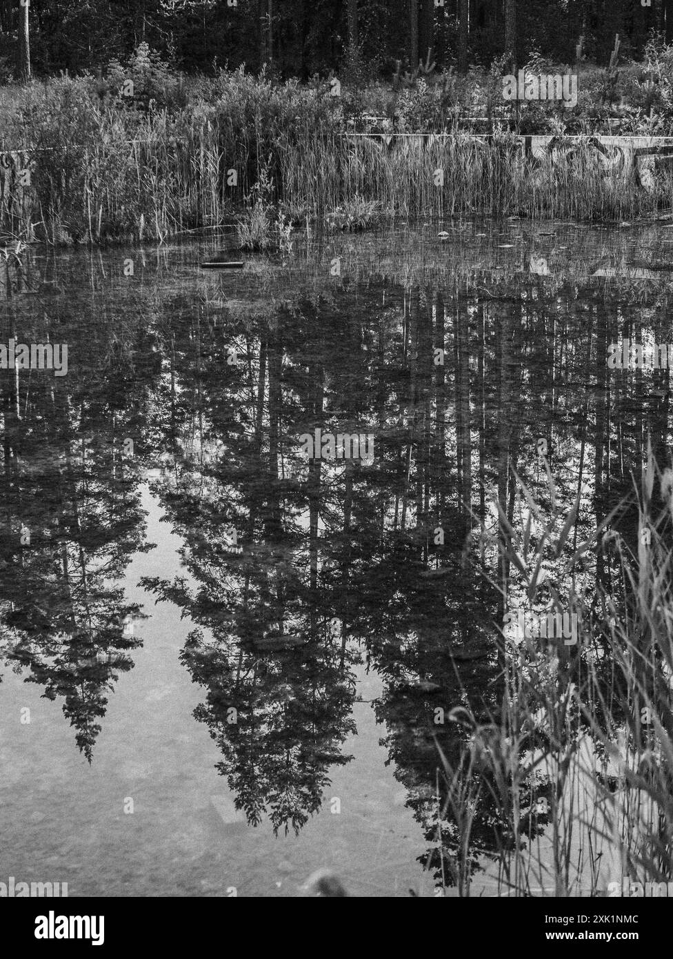 riflesso nell'acqua dalla piscina abbandonata. bianco e nero. Foto Stock