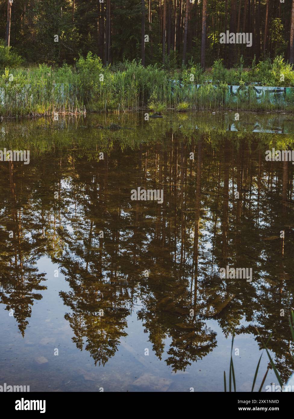 riflesso nell'acqua dalla piscina abbandonata Foto Stock
