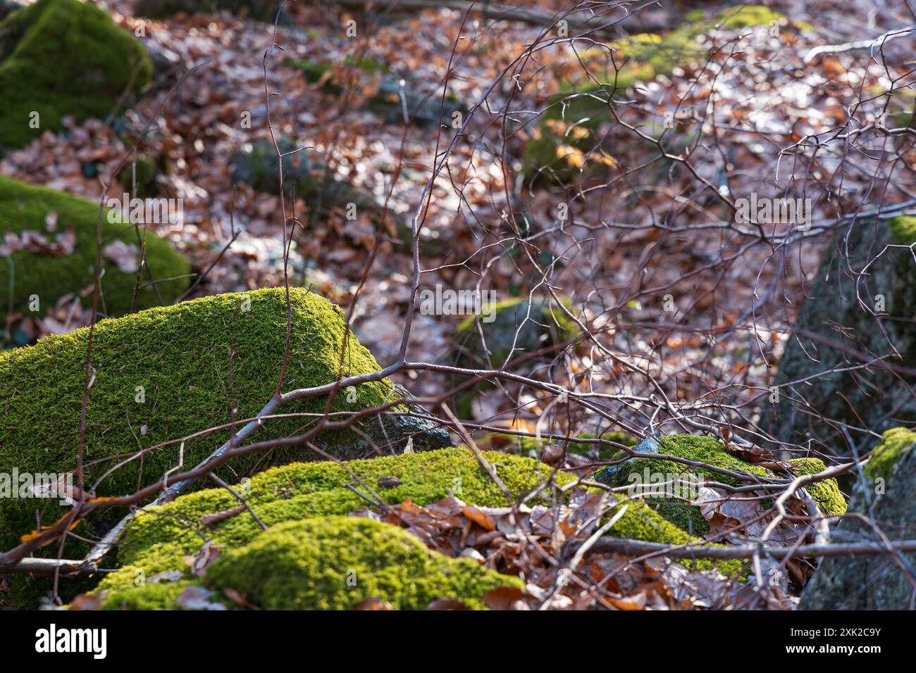 Poche piccole e gigantesche formazioni rocciose accanto al sentiero di montagna durante il giorno di sole in inverno Foto Stock
