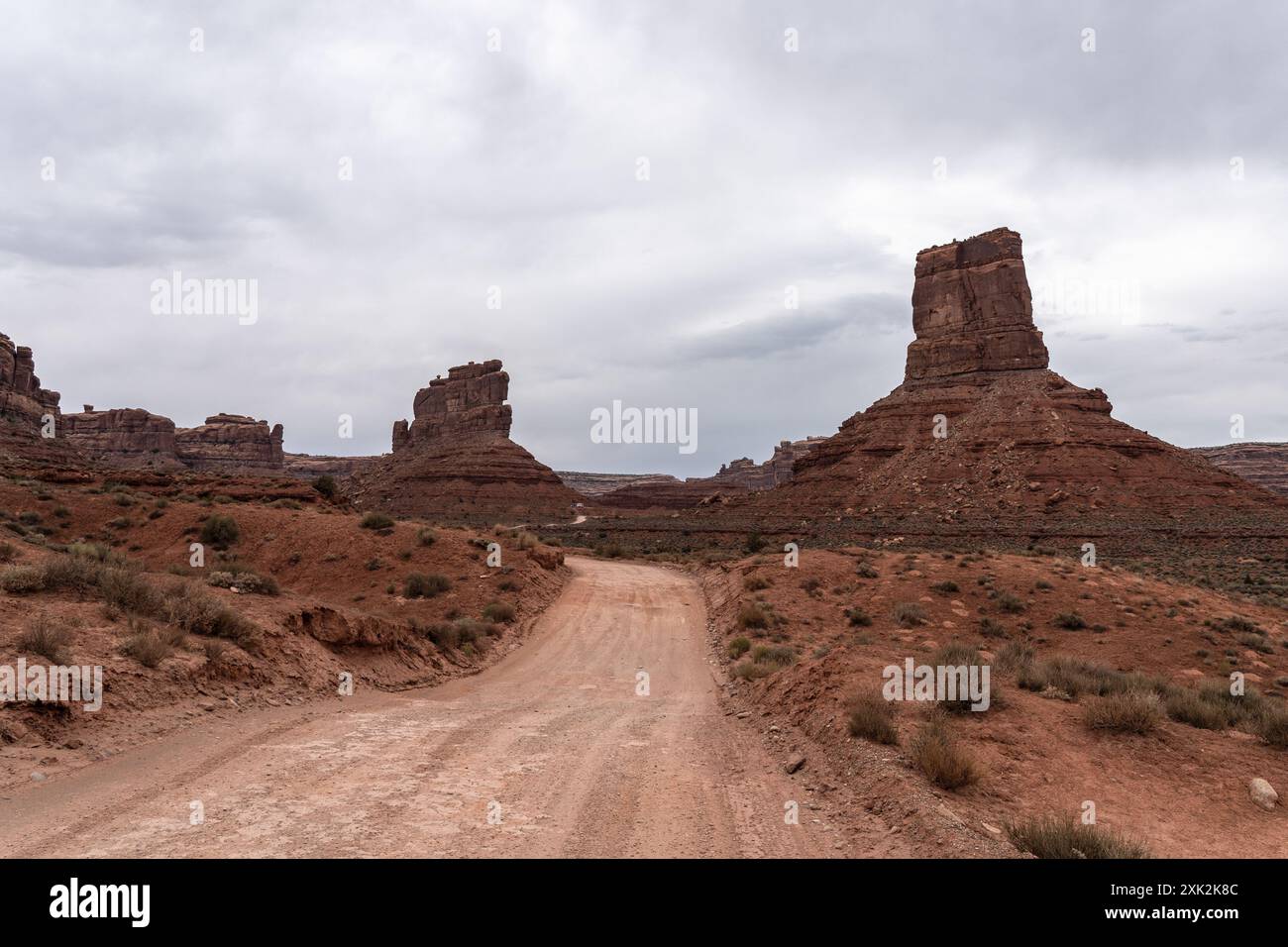 Una strada sterrata si snoda attraverso la panoramica Valle degli dei nello Utah, incorniciata da spettacolari formazioni rocciose sotto un cielo nuvoloso Foto Stock