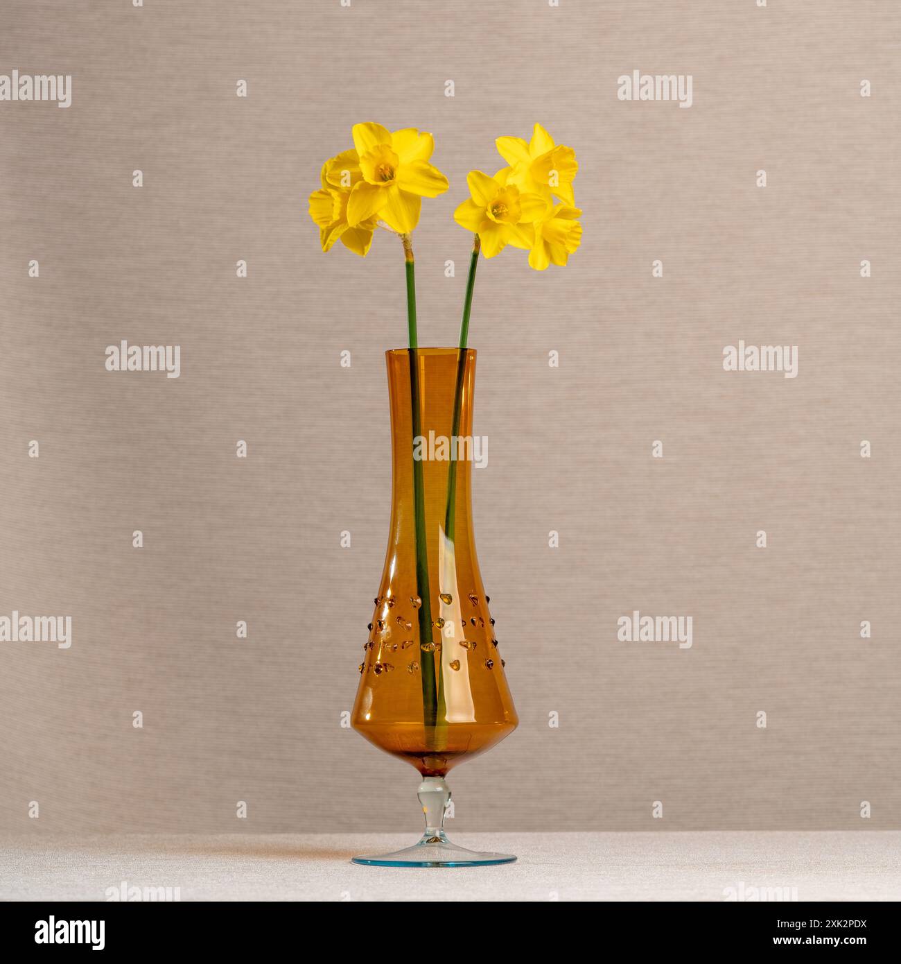 Bouquet di fiori primaverili gialli. Narcisi in vaso trasparente in vetro marrone chiaro. Sfondo grigio chiaro. Umore gioioso. Foto Stock