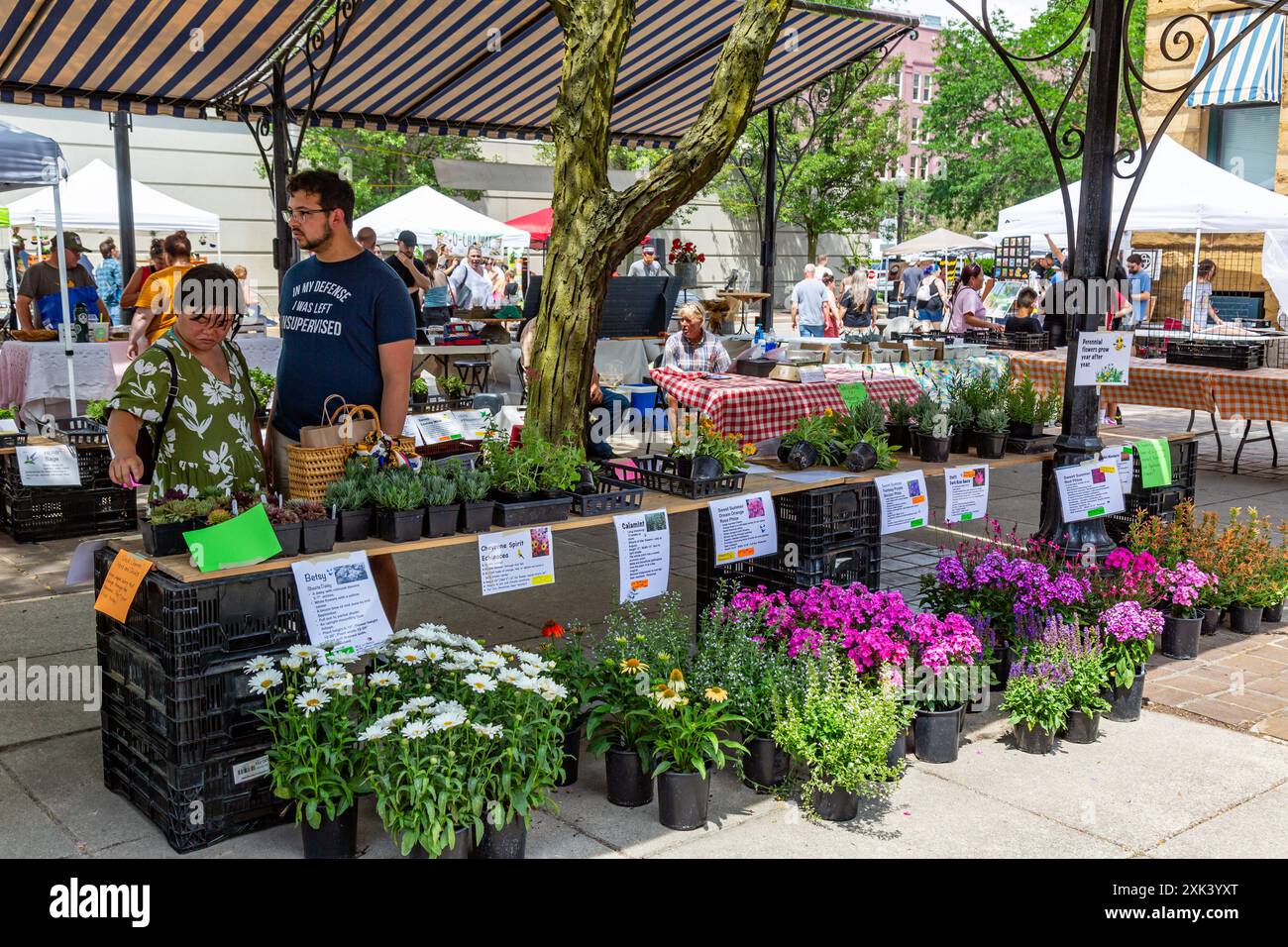 L'esposizione di un'azienda agricola naturale comprende fiori e piante al mercato agricolo YLNI nel centro di Fort Wayne, Indiana, USA. Foto Stock