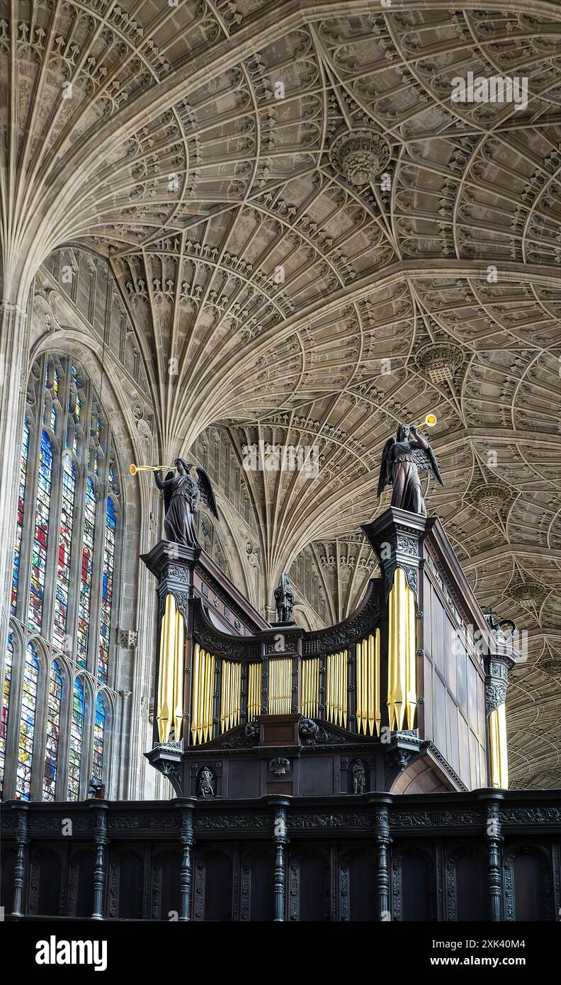 La volta dei ventilatori e le vetrate colorate della King's College Chapel di Cambridge, Inghilterra, Regno Unito Foto Stock