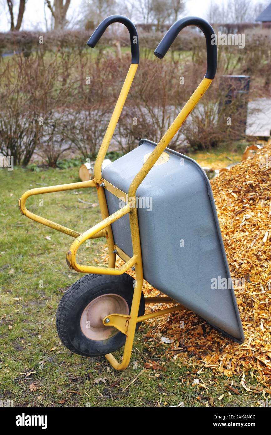 Carriola, legname e all'aperto in natura per legno, trucioli o pulizia in giardino per l'inverno. Carrello, attrezzature e tronchi con materiale naturale per il combustibile Foto Stock