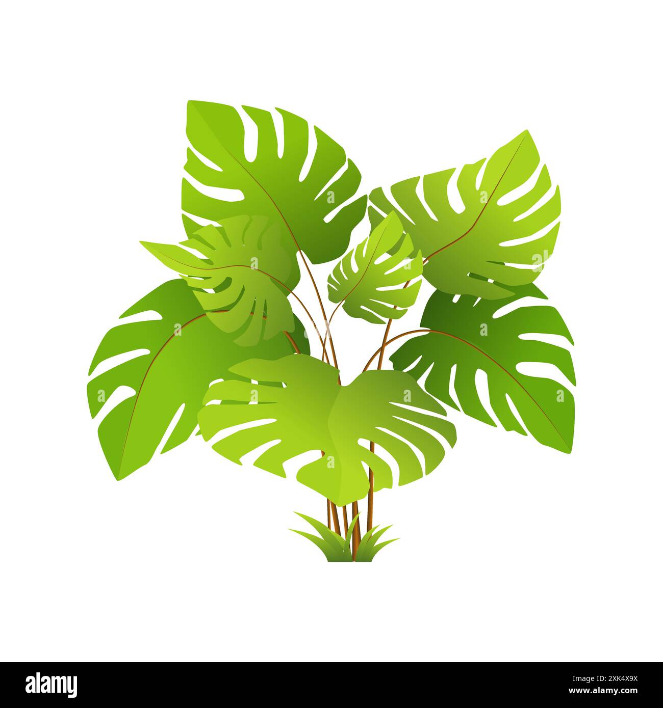 Pianta tropicale di Monstera con grande foglia gigante sul fusto, fogliame di illustrazione vettoriale della giungla Illustrazione Vettoriale