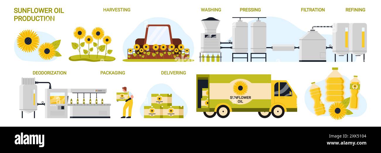 Processo di produzione dell'olio di girasole nell'industria alimentare, fasi di produzione stabilite. Linea di lavorazione con raccolta, preparazione per filtrazione e deodorizzazione, illustrazione del vettore cartoni animati per il confezionamento di bottiglie Illustrazione Vettoriale