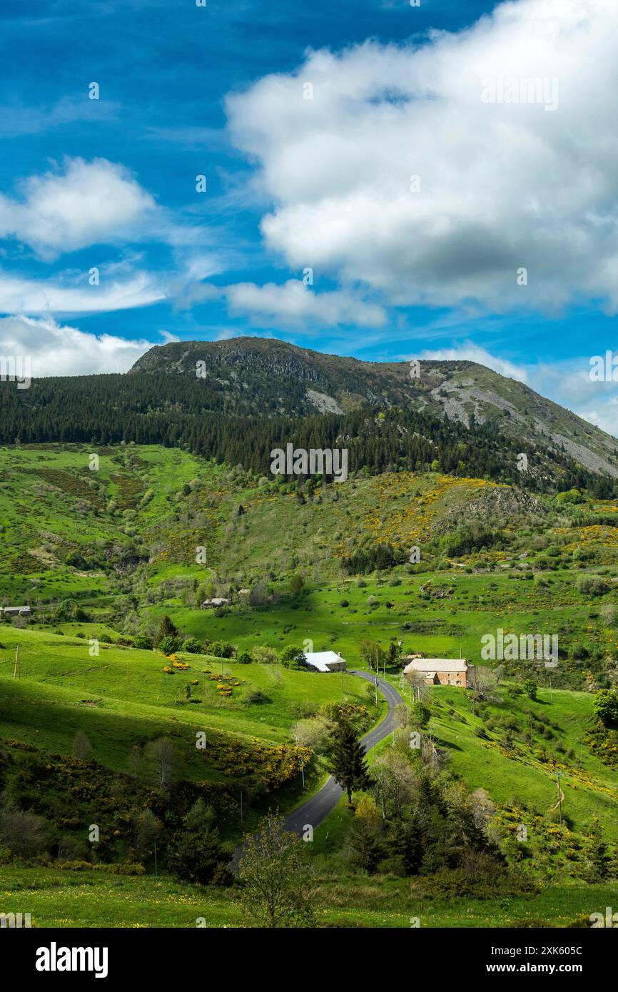Paesaggio verde lussureggiante del Mont Mezenc nel Parco naturale regionale dei Monts d'Ardeche, Alvernia-Rodano-Alpes, Francia Foto Stock