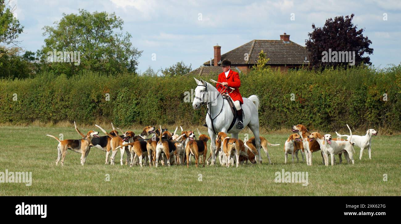 Cambridgeshire Hunt e Enfield Chase Rider nel tradizionale Jacket Horse e Hounds. Foto Stock