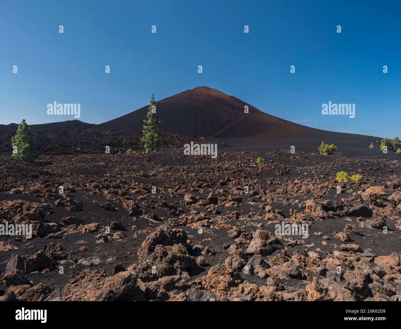 Vista del cono nero e rosso del vulcano Chinyero. Paesaggio vulcanico a Chinyero, percorso escursionistico. Cenere lavica, rocce, pini endemici verdi delle isole Canarie Foto Stock