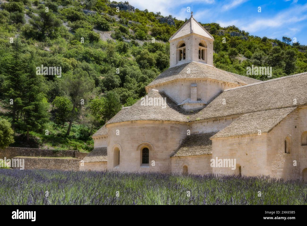 Abbazia di Notre-Dame de Senanque, vicino al villaggio di Gordes nel dipartimento del Vaucluse in Provenza. Foto Stock