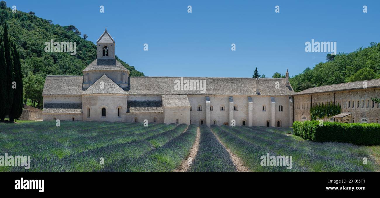 Abbazia di Notre-Dame de Senanque, vicino al villaggio di Gordes nel dipartimento del Vaucluse in Provenza. Foto Stock
