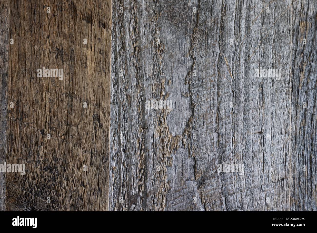 struttura in legno marrone chiaro e grigio chiaro con fondo in grana e legno. struttura in legno con fondo in legno marrone marrone marrone con grana e nodi Foto Stock