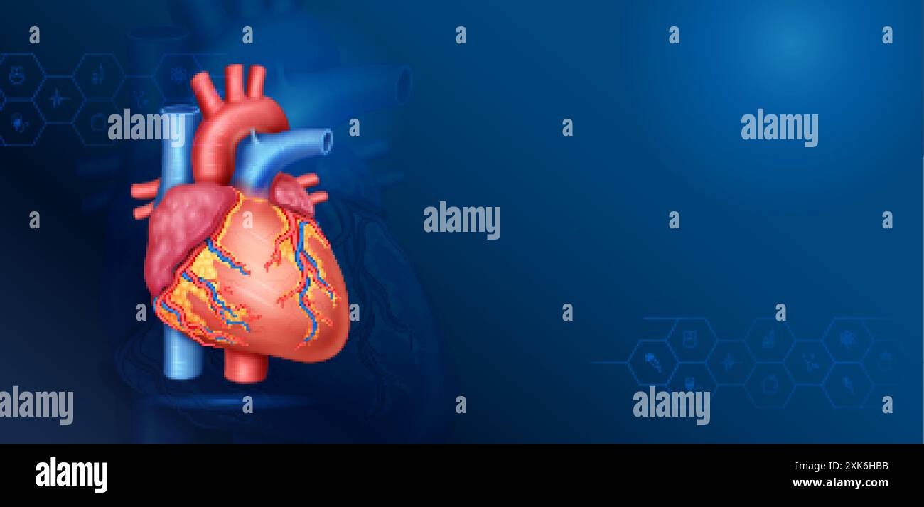 Illustrazione di Healthcare and Medical Education background of Human Heart Anatomy for Science Biology study Illustrazione Vettoriale