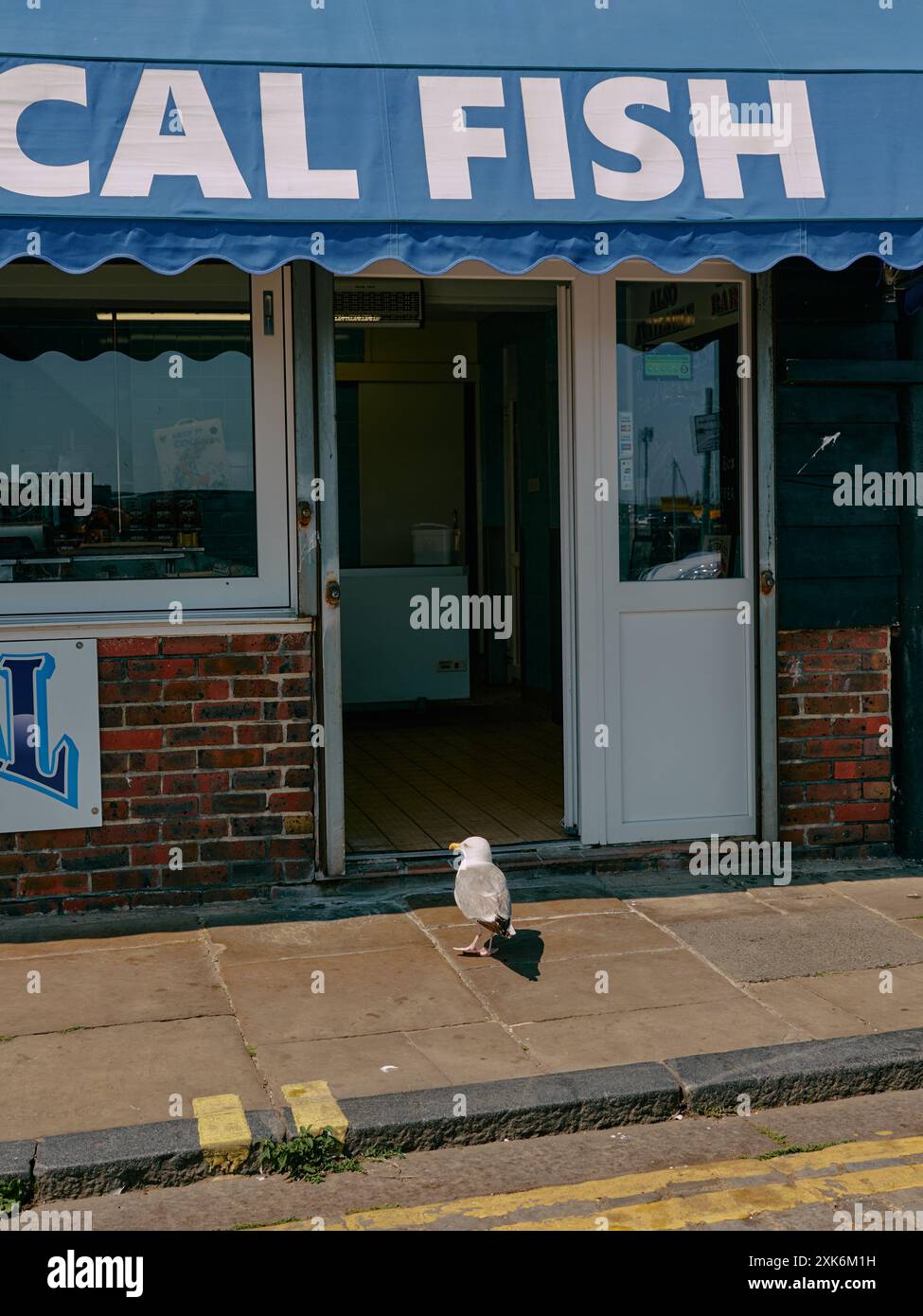 Un gabbiano aspetta, si spera, fuori da un negozio di fish and chips sul mare a Folkestone, Kent, Inghilterra, Regno Unito, tutti i giorni Foto Stock
