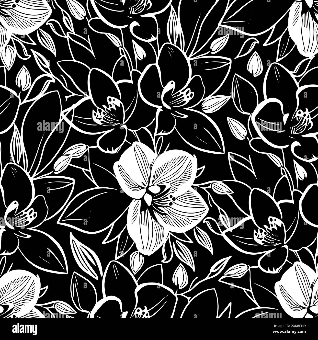 semplice motivo senza cuciture di fiori bianchi su sfondo nero, struttura e design Foto Stock