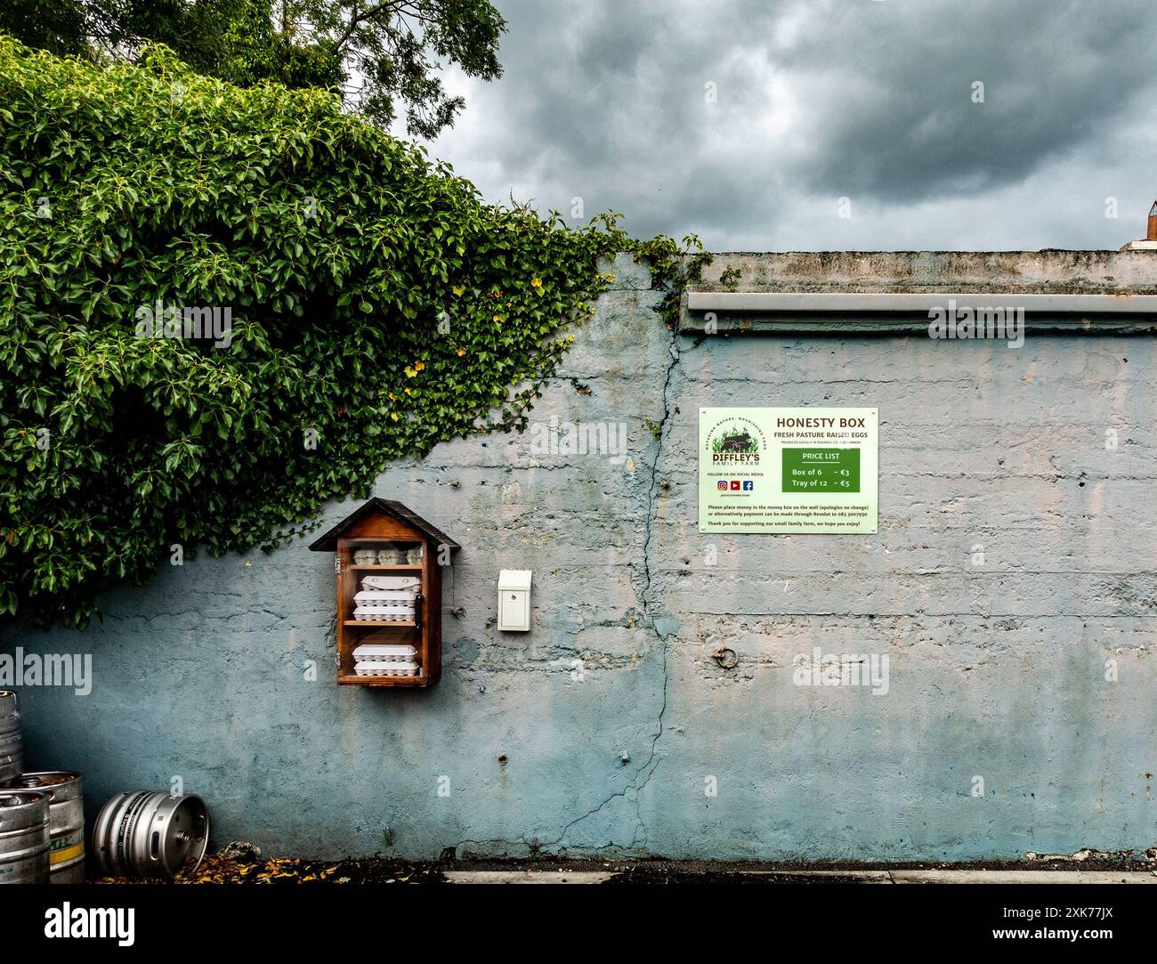 Uova di Diffley Farm in vendita lungo il lato di una strada, accompagnate da una scatola di onestà a Tarmonbarry, irlanda. Foto Stock