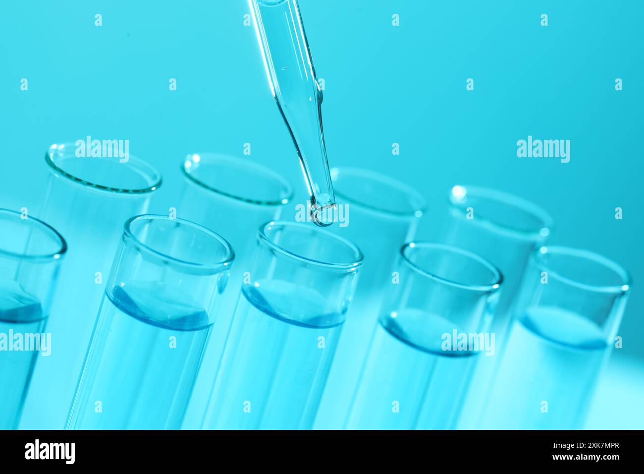 Gocciolamento di liquido dalla pipetta alla provetta su sfondo azzurro, primo piano. Analisi di laboratorio Foto Stock