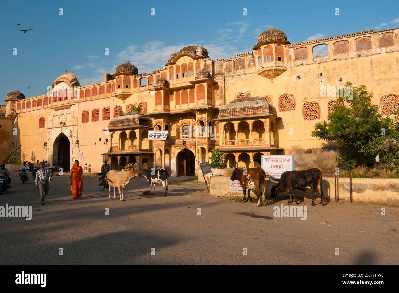 Ingresso al Palazzo di Città, Jaipur, stato del Rajasthan, India, Asia Foto Stock