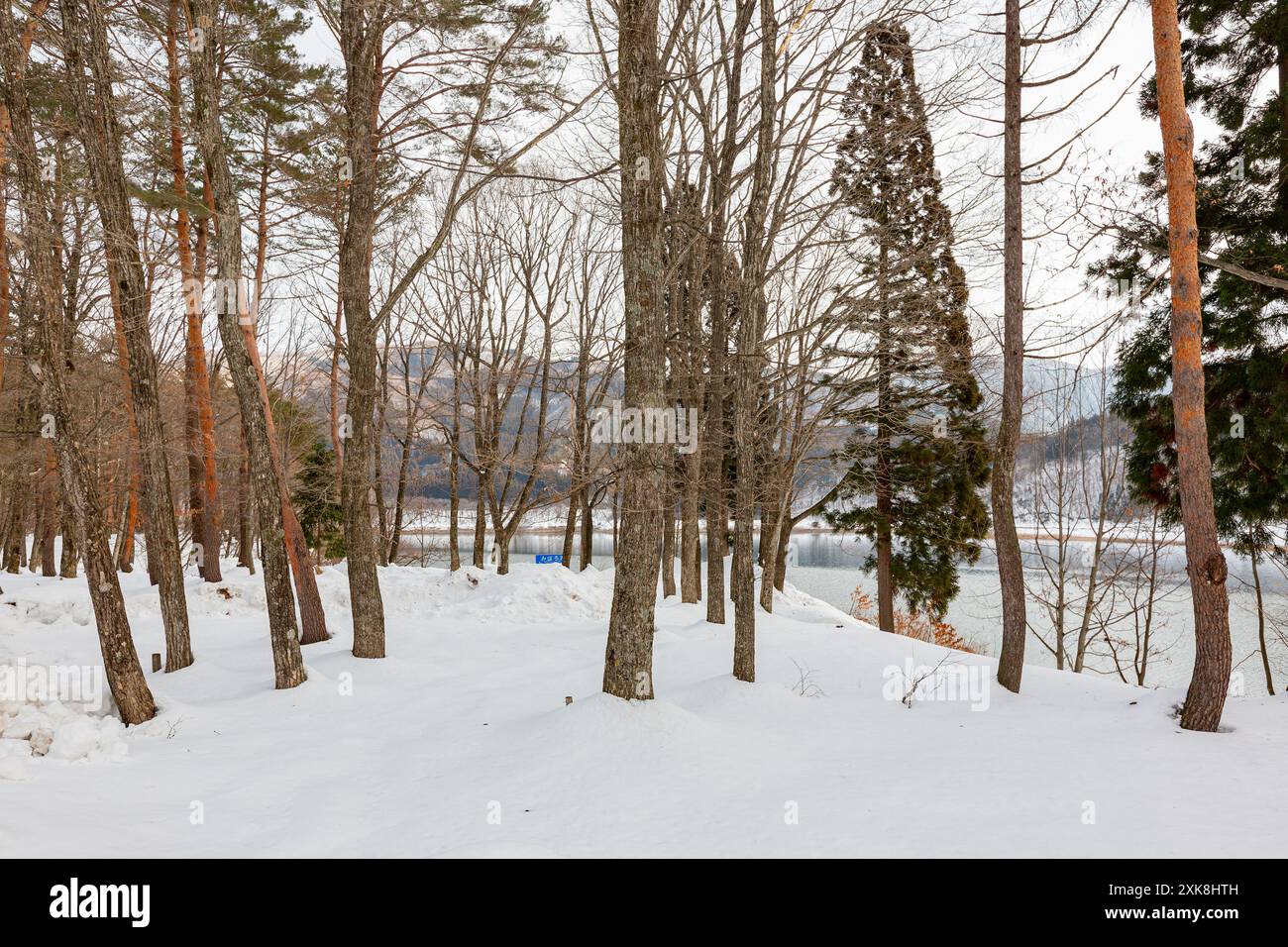 Vista diurna del paesaggio rurale innevato intorno a Shirakawa in Giappone Foto Stock