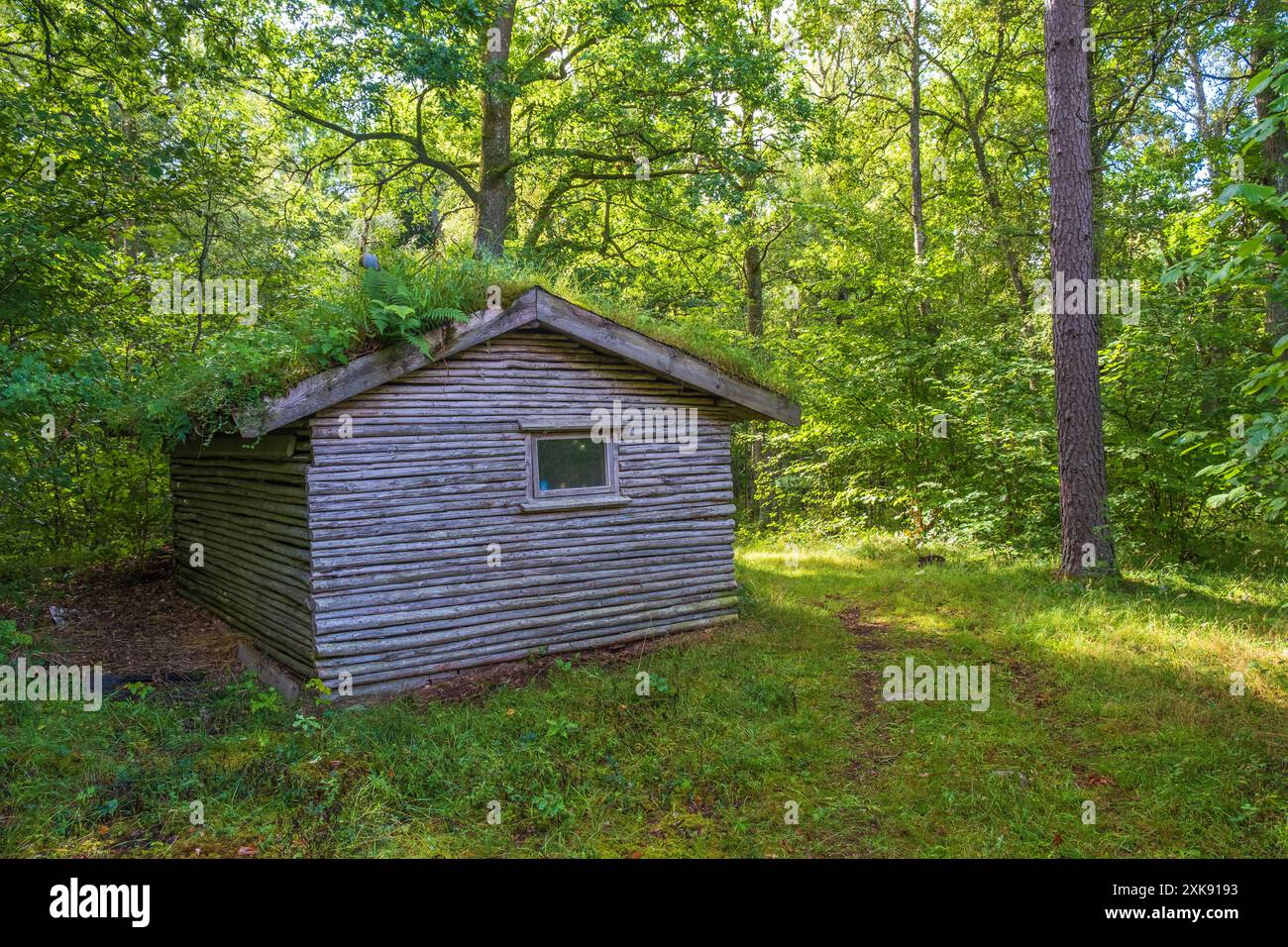Cabina in legno con tetto in erba su un sentiero nella foresta Foto Stock