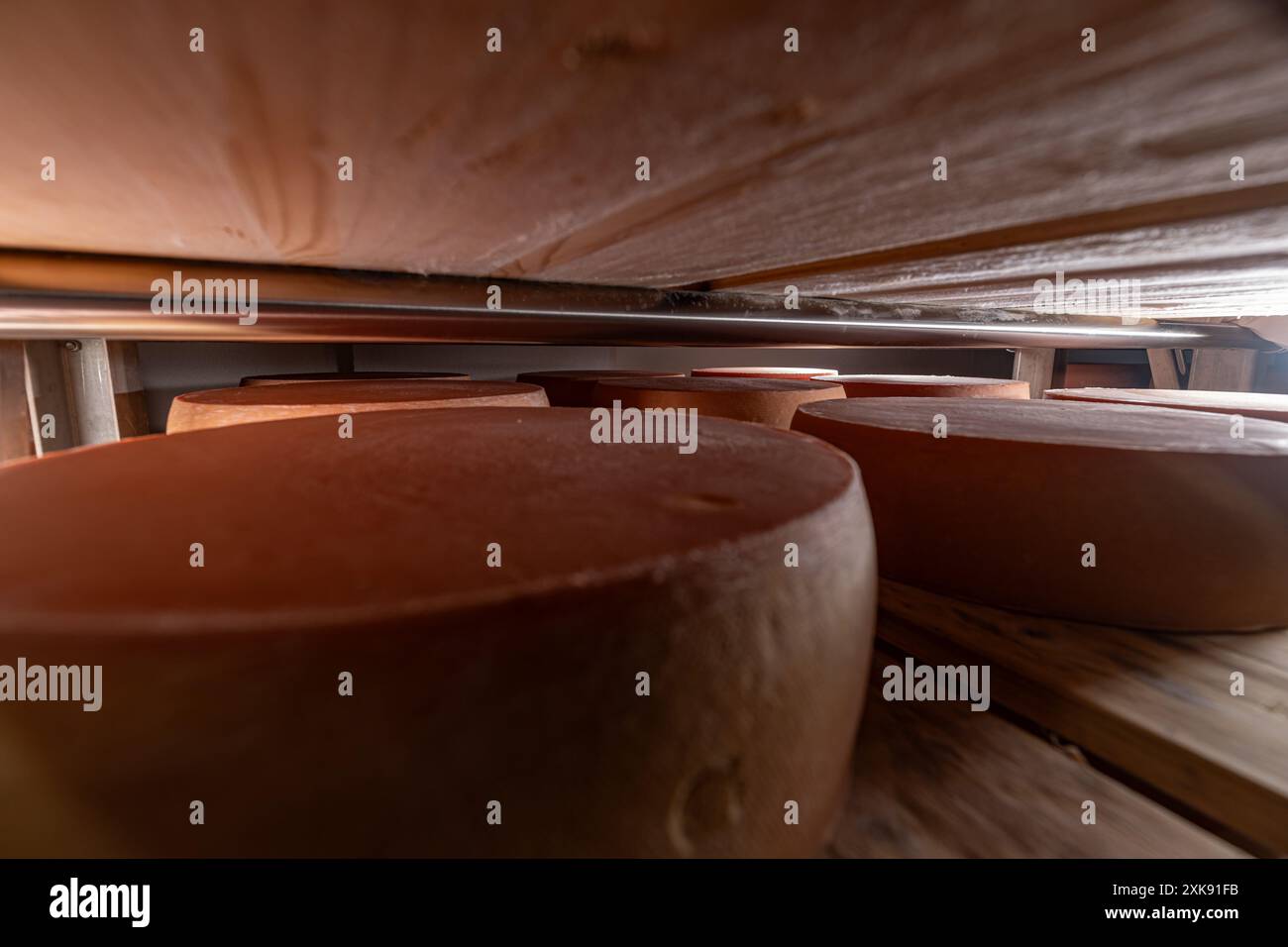 Grandi forme di formaggio maturano su scaffali di legno in un deposito di un'azienda agricola o di un caseificio Foto Stock