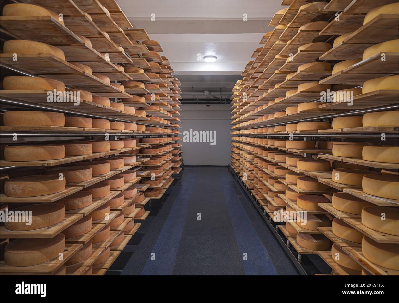 Innumerevoli rotoli di formaggio che maturano su scaffali di legno nel deposito Foto Stock
