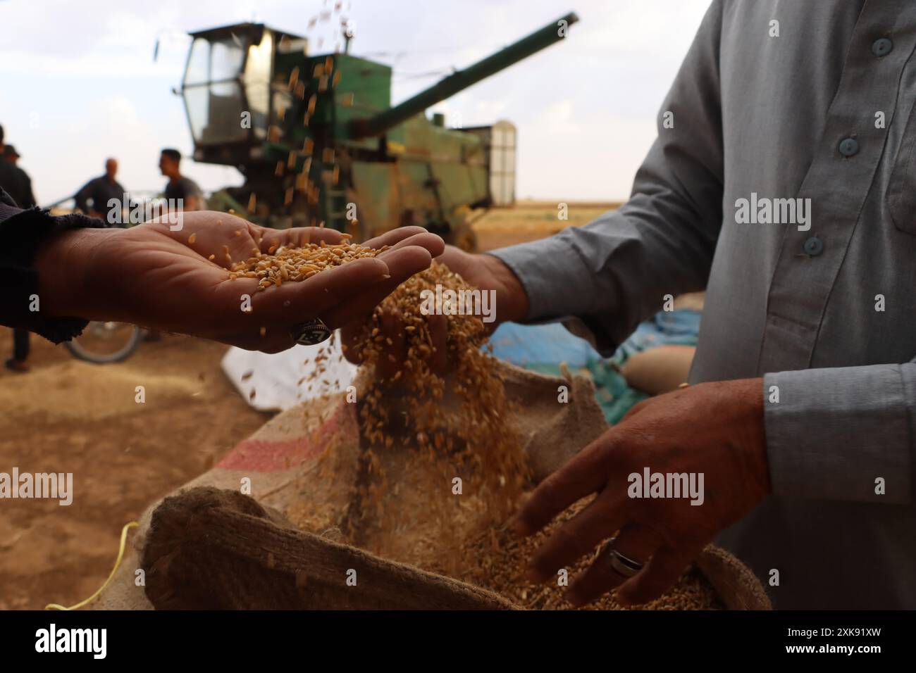Hasakah. 10 giugno 2024. Gli agricoltori lavorano al raccolto del grano nella provincia nord-orientale della Siria di al-Hasakah, 10 giugno 2024. PER ANDARE CON "Feature: Wheat Farmers in ne Syria faticose a vendere prodotti a causa della presenza delle forze statunitensi e curde" credito: Str/Xinhua/Alamy Live News Foto Stock