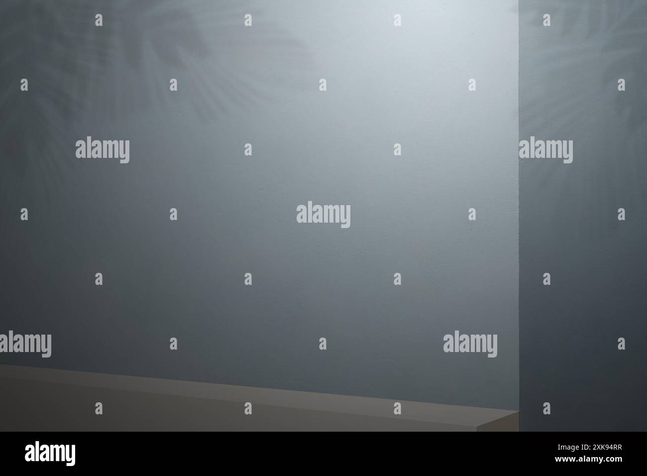 Pareti grigie scure. Le composizioni di Monstera gettano ombre sul muro. Mock-up per presentazioni di marchi di prodotti, alimenti, cosmetici o accessori. Foto Stock