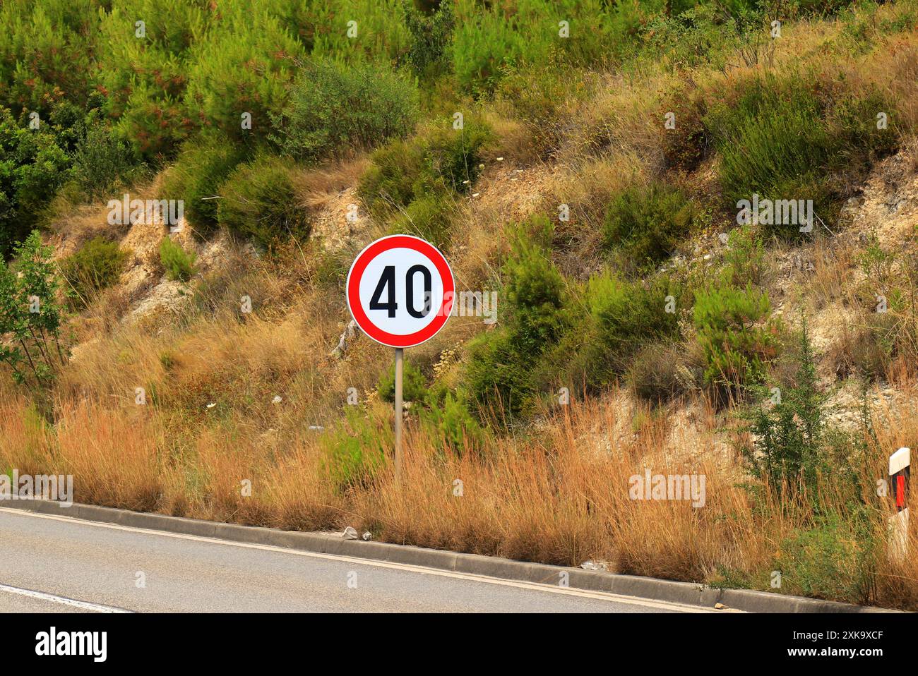 Cartello stradale 40, limite di velocità 40, sulla strada di montagna in Croazia, attenzione selettiva. Segnale del limite di velocità con traffico in background Foto Stock