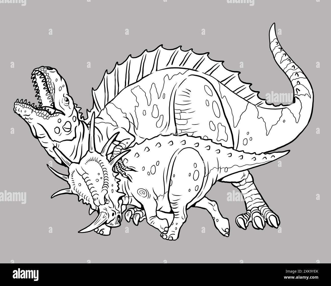 Lotta tra due dinosauri. Styracosaurus combatte con il dinosauro predatore: acrocanthosaurus. Pagina da colorare con animali preistorici. Foto Stock