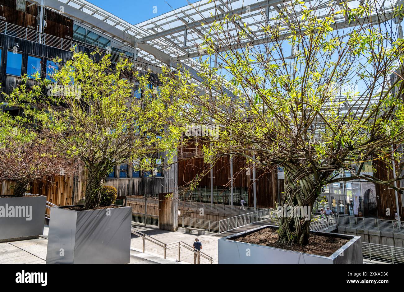 La vita quotidiana di Aker Brygge a Oslo, Norvegia Foto Stock