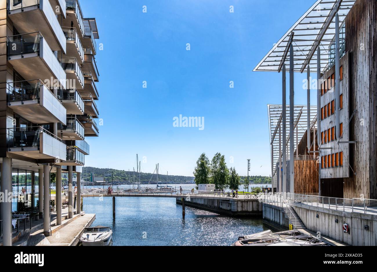 La vita quotidiana di Aker Brygge a Oslo, Norvegia Foto Stock