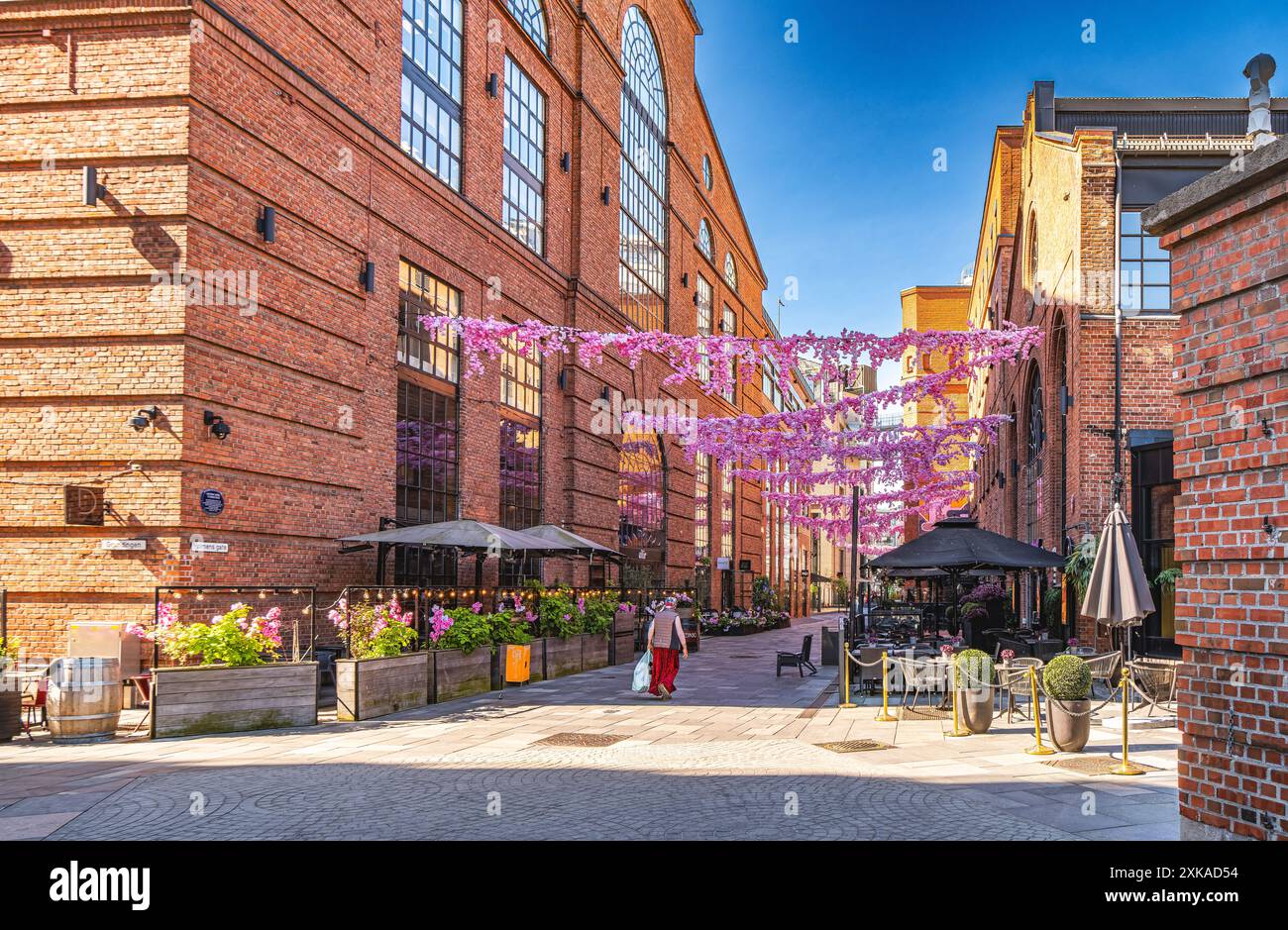 La vita quotidiana di Aker Brygge a Oslo, Norvegia Foto Stock